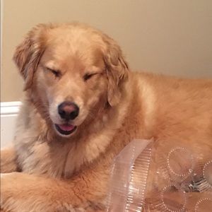 Meet your Posher, Lynn